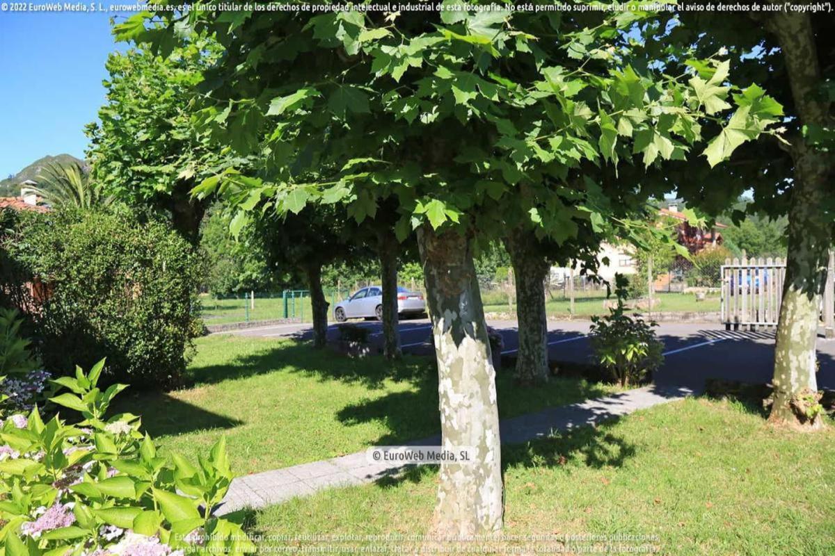 El Puentin Del Sella Con Wifi Y Parking Gratuito Apartment กังกัส เด โอนิส ภายนอก รูปภาพ